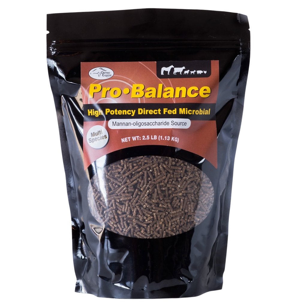 Pro Balance – Ortho Equine